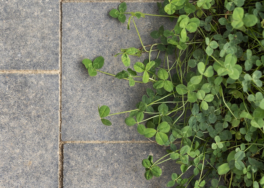 کاشی کف حیاط مقاوم به سایش